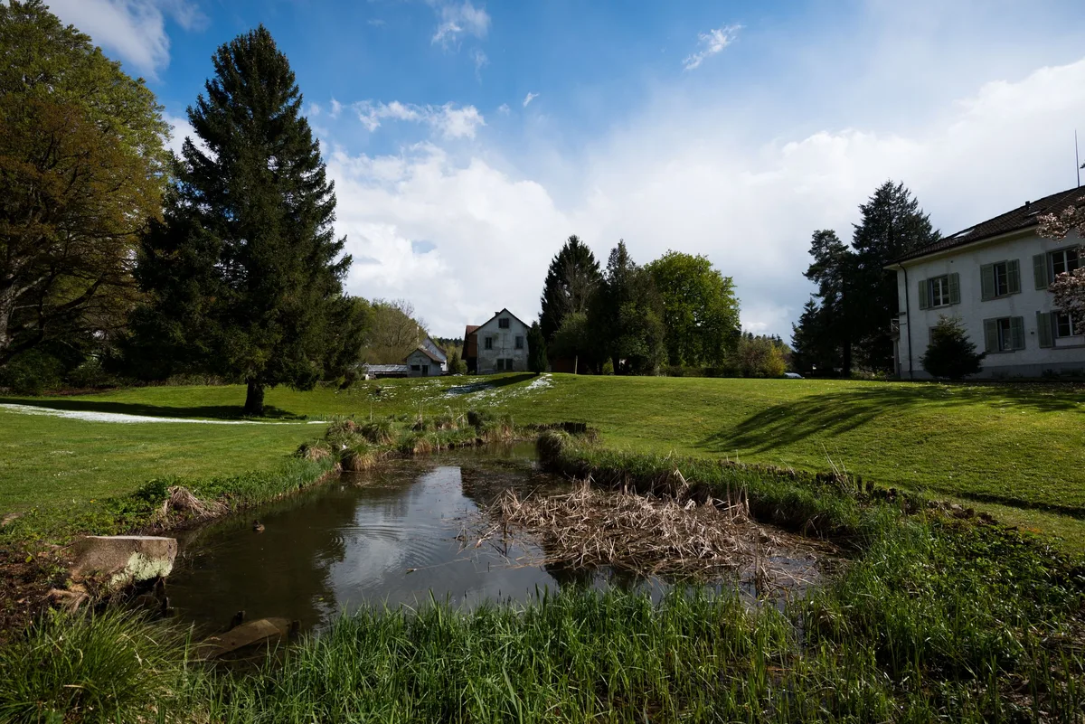 Die Villa und der Park des einstigen Fabrikanten Emil Spörri in Hittnau stehen unter Denkmalschutz. (Archiv) Der Luppmenpark in Hittnau: Im Vordergrund ein kleiner Weiher, rechts und im Hintergrund zwei Häuser.